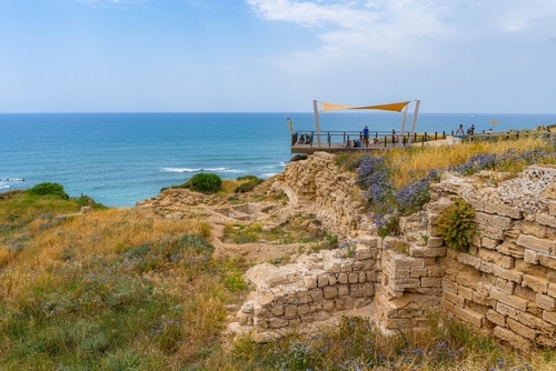 תמונת מועד קונצרט: קונצרטיול אפולוניה עם אירנה פרידלנד